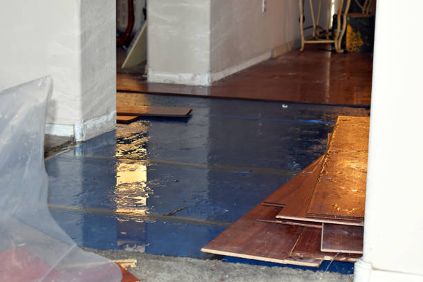 Professional Sewage Cleanup technician working in Wann, OK